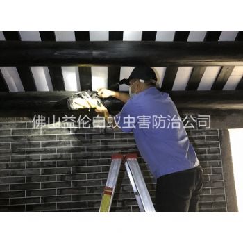 肇庆祠堂杀灭白蚁工程