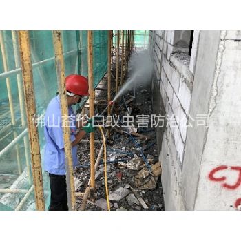 鼎湖建筑白蚁预防工程