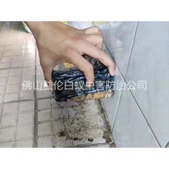 德庆诱杀白蚁危害工程